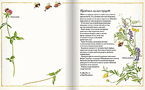 The Flower Book of Bumblebees