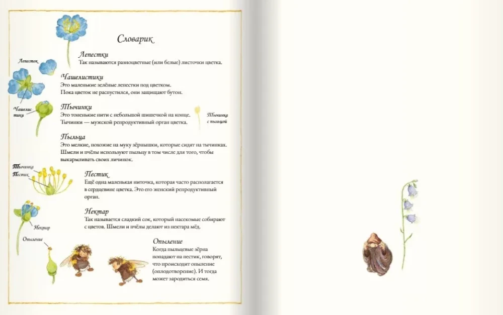 The Flower Book of Bumblebees