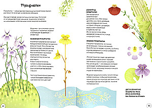 Всё о хищных растениях для самых любознательных