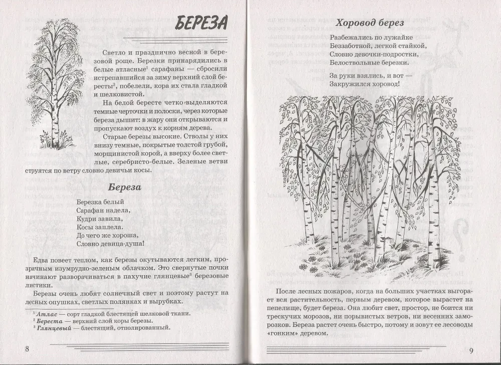 Деревья. Какие они?