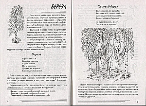 Деревья. Какие они?