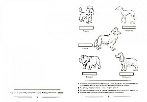 Speech Therapy Coloring Book for Reinforcement of the Sound L