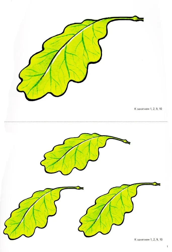 Cut-out pictures for the formation of elementary mathematical representations in preschoolers aged 4-5