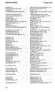 Illustrated Dictionary of German and Russian Languages