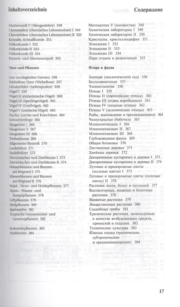 Illustrated Dictionary of German and Russian Languages