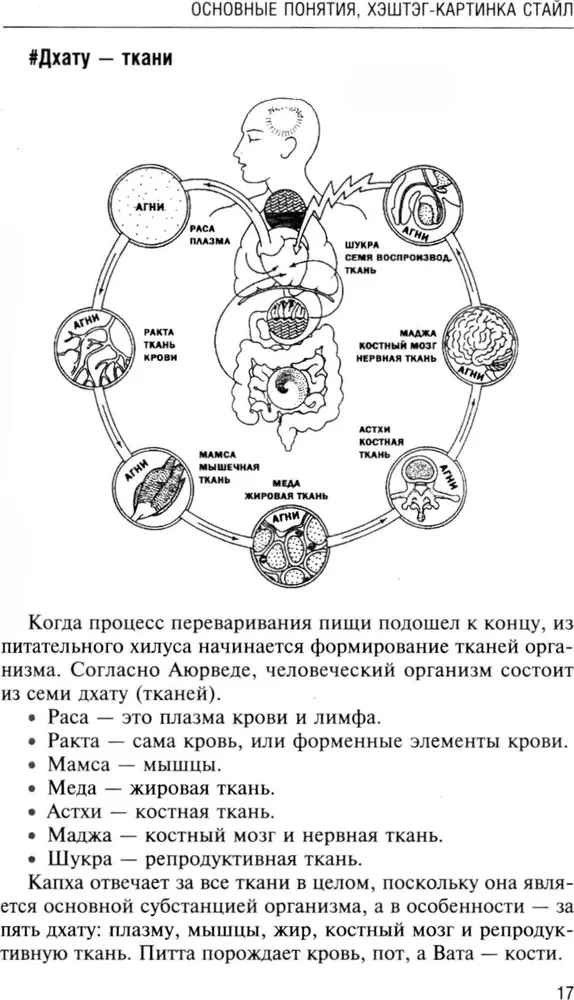 Ayurveda. A Guide to Men's Health