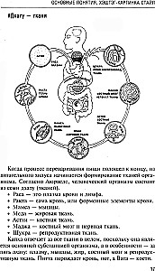 Ayurveda. A Guide to Men's Health