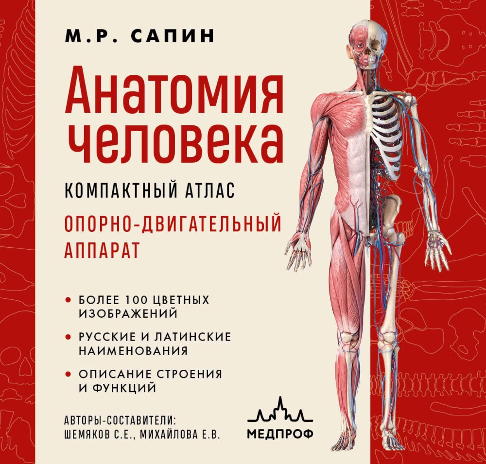 Human Anatomy. Compact Atlas. Musculoskeletal System