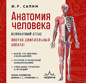 Human Anatomy. Compact Atlas. Musculoskeletal System