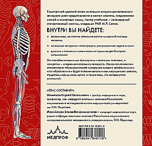 Human Anatomy. Compact Atlas. Musculoskeletal System