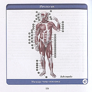 Human Anatomy. Compact Atlas. Musculoskeletal System