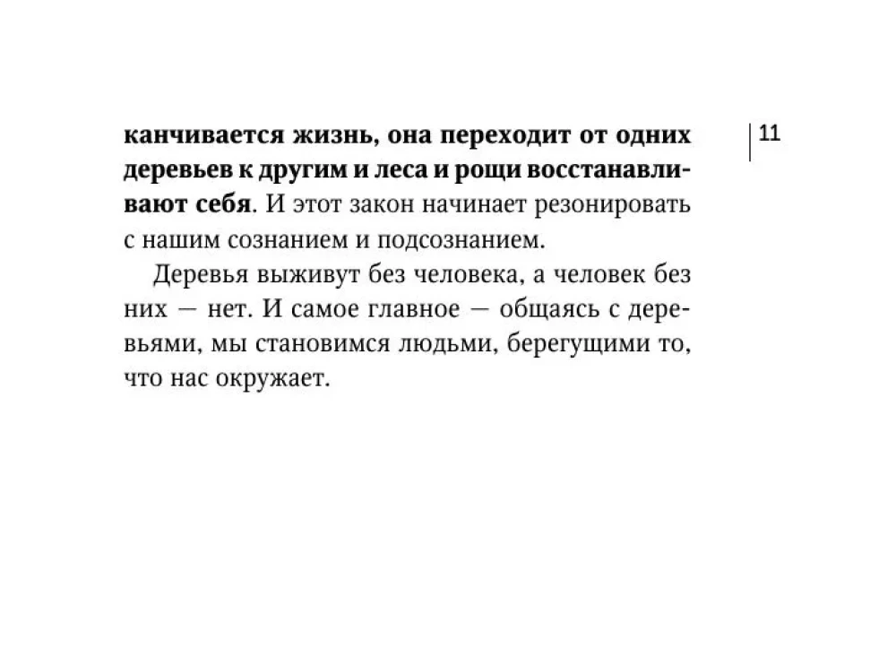 Магические карты друидов. Зеленая магия для защиты и предсказаний. Колода Авен