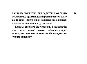 Магические карты друидов. Зеленая магия для защиты и предсказаний. Колода Авен