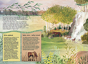 Taiga. One Year in the Life of the Largest Terrestrial Biome