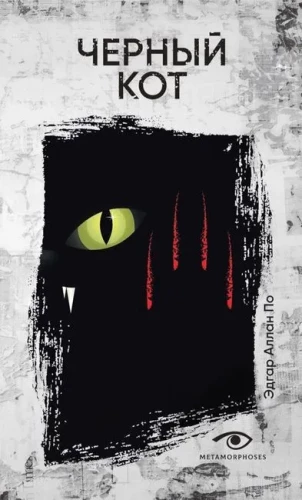 The Black Cat