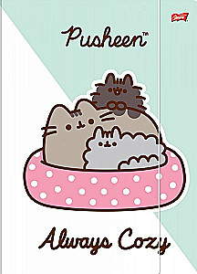 Pusheen Cat Kitten A4 Drawing Folder, mix