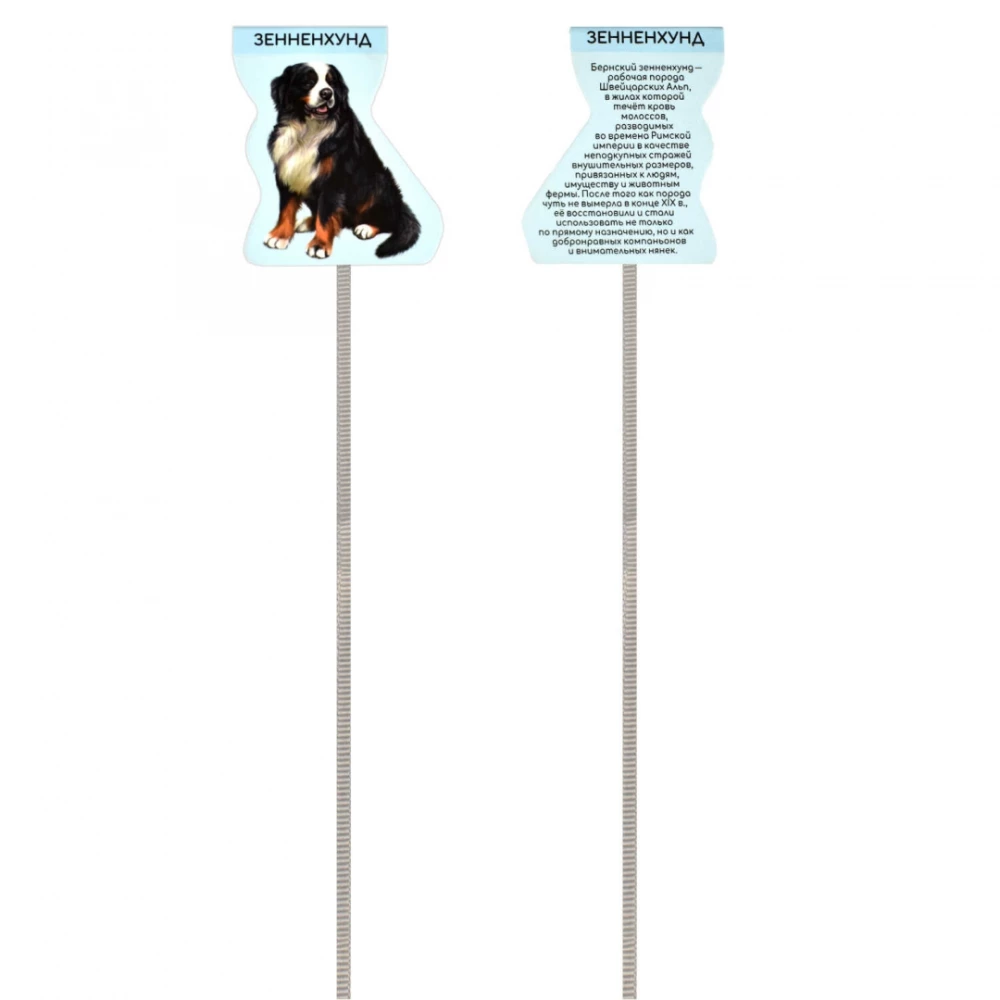 Set of Magnetic Bookmarks - Dogs