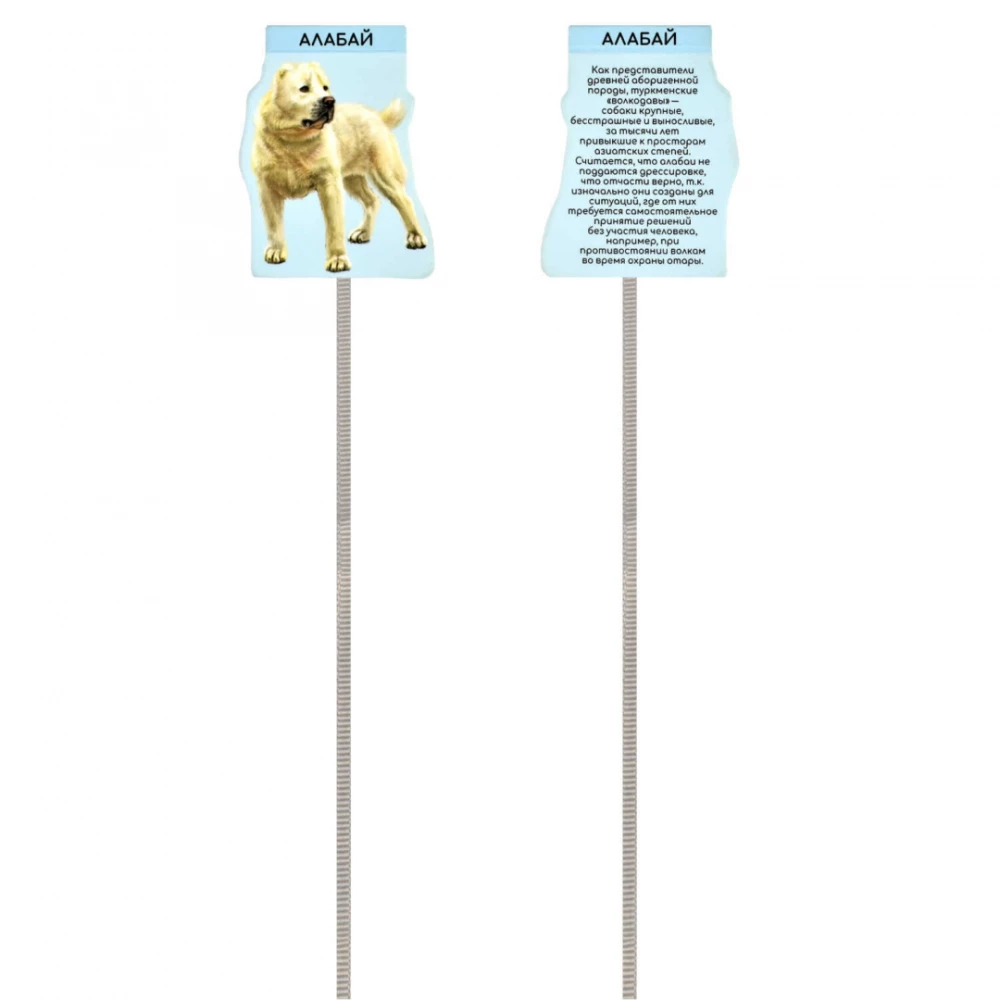 Set of Magnetic Bookmarks - Dogs