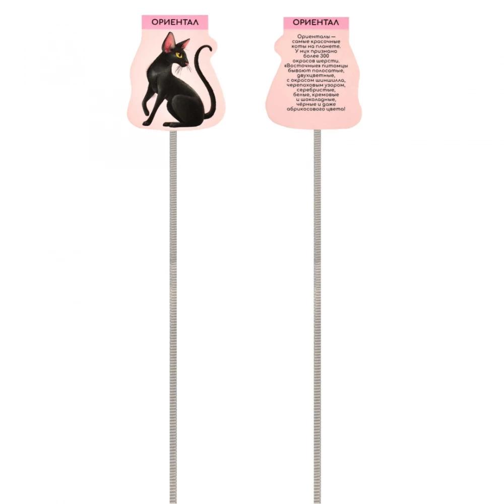 Magnetic Bookmark Set - Cats