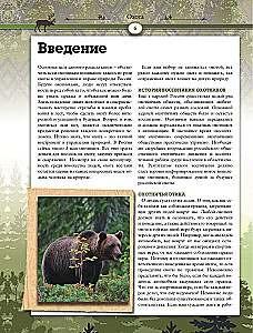 Hunting. Big Encyclopedia. 17 Wild Animals