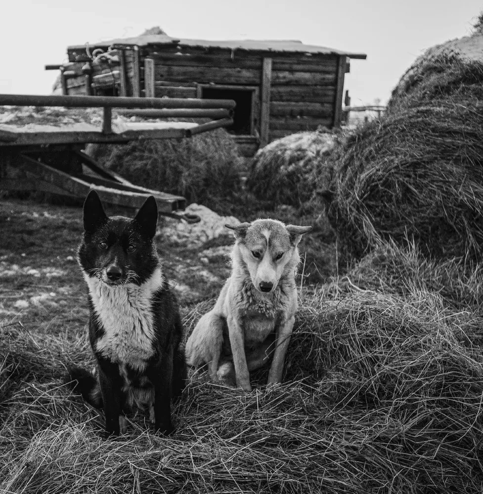 Monochrome. Piercing Beauty of Russia in Black-and-White Photographs by Ivan Dementievsky