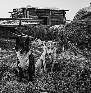 Monochrome. Piercing Beauty of Russia in Black-and-White Photographs by Ivan Dementievsky