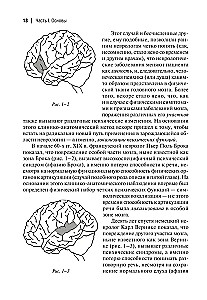 Clinical Research in Neuropsychoanalysis