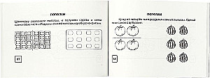 Mathematics. First Steps