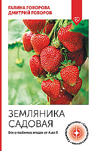 Garden Strawberry. All About Favorite Berries from A to Z