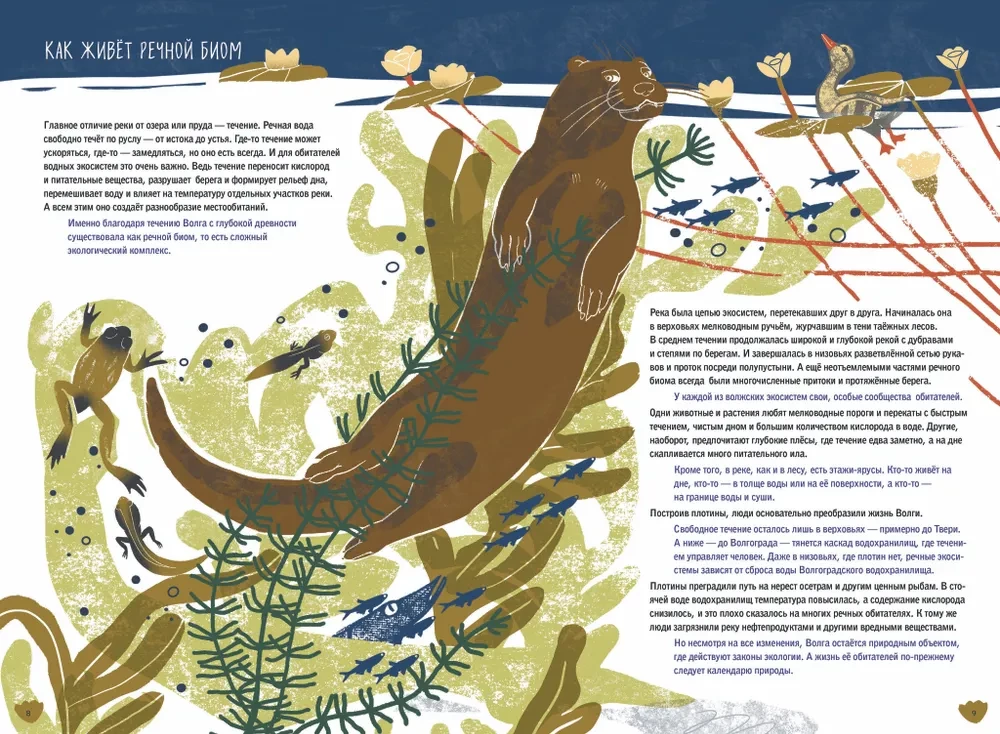 Volga: one year in the life of a freshwater biome.