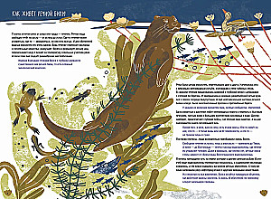 Volga: one year in the life of a freshwater biome.