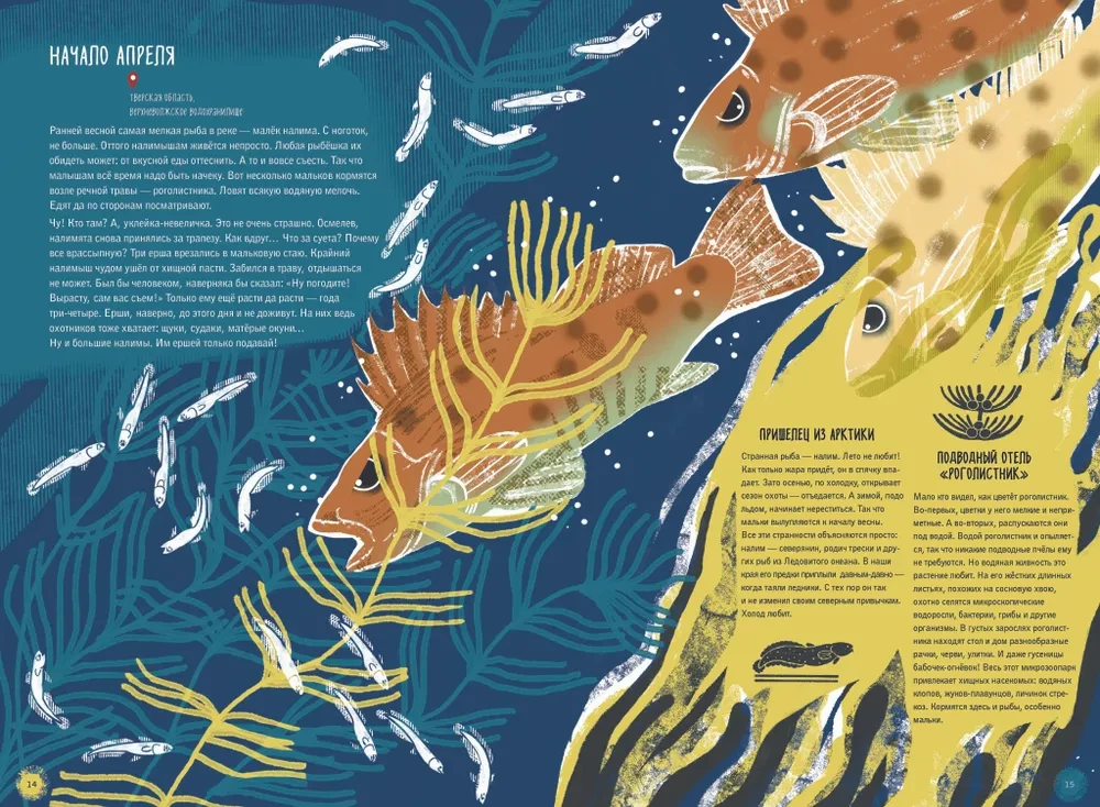 Volga: one year in the life of a freshwater biome.