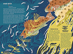 Volga: one year in the life of a freshwater biome.