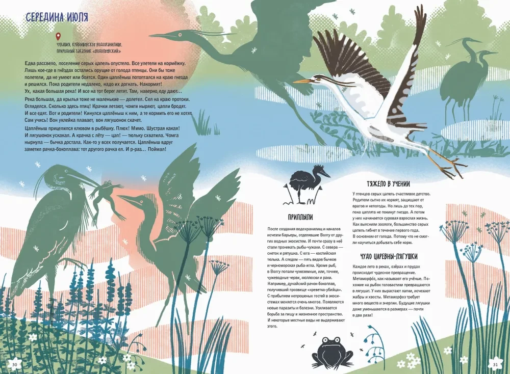 Volga: one year in the life of a freshwater biome.