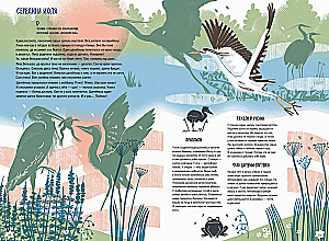 Volga: one year in the life of a freshwater biome.