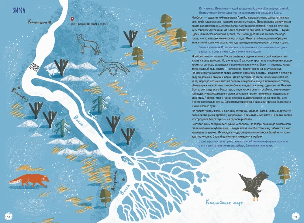 Volga: one year in the life of a freshwater biome.