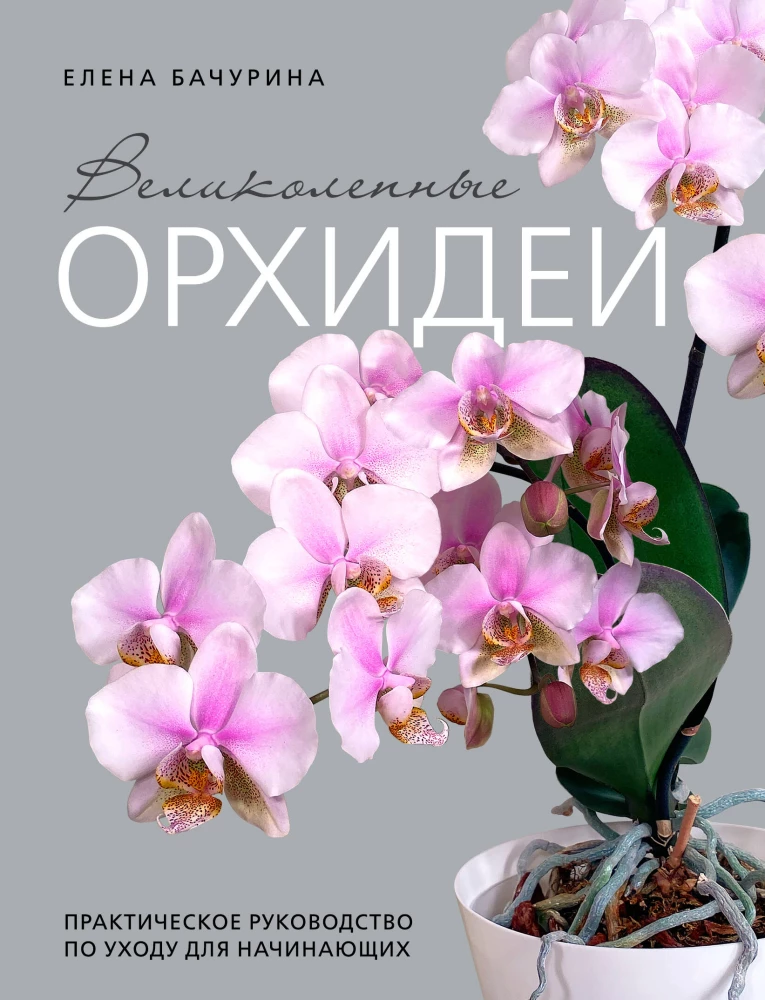 Magnificent Orchids. A Practical Guide to Care for Beginners