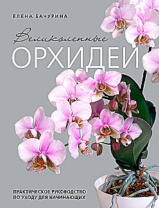 Magnificent Orchids. A Practical Guide to Care for Beginners