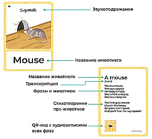 English Language Flashcards with Audio. Animals