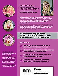 Magnificent Orchids. A Practical Guide to Care for Beginners