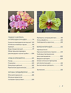 Magnificent Orchids. A Practical Guide to Care for Beginners