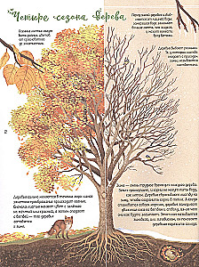 Encyclopedia of Trees of the World