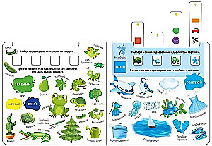 Book - Trainer. Learning Words, Colors and Shapes