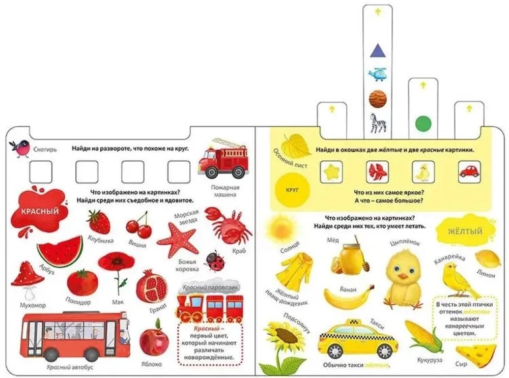 Book - Trainer. Learning Words, Colors and Shapes