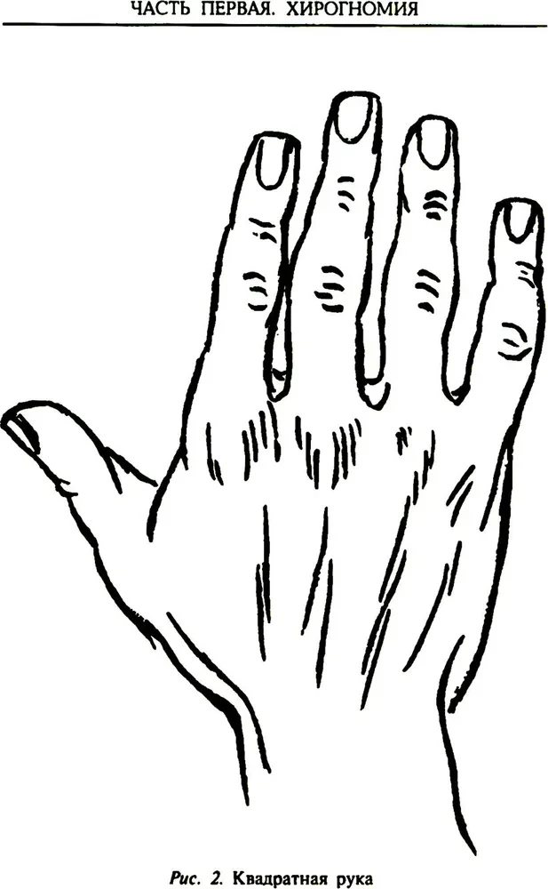 Palmistry - the art of reading fate. Interpretation of signs on the palm from ancient times to the present day