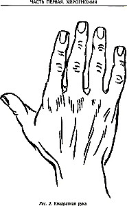 Palmistry - the art of reading fate. Interpretation of signs on the palm from ancient times to the present day