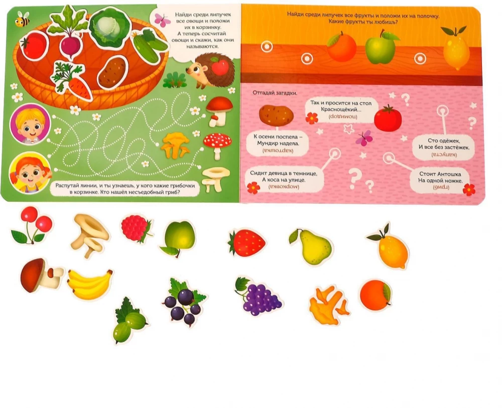 Sticker Book - What Grows Where?