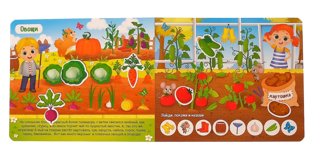 Sticker Book - What Grows Where?